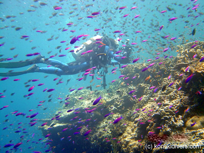 diver in marine sanctuary