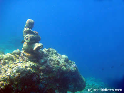 mermaid at nasuluan marine sanctuary mactan cebu