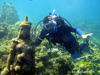 padi dive courses