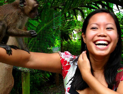 Alta Cebu Village Resort zoo