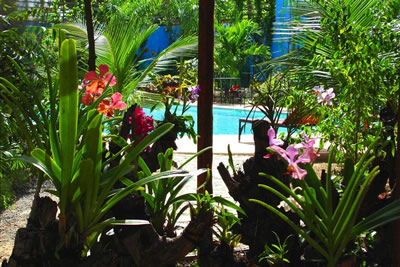 Alta Cebu Village Resort swimming pool 3