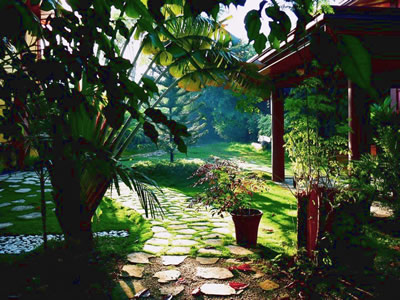 tropical 3