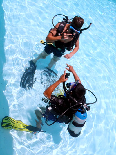 padi confined open water training in alta cebu philippines