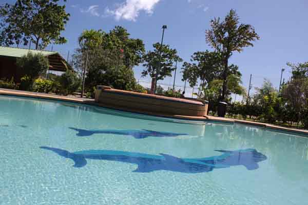 Swimming Pool Cebu at Haruhay Dream Resort - Ideal for Scuba Divers