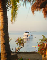 Dive Vacation in Cebu, Bohol & Negros 