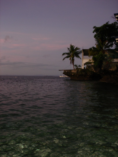 club kon tiki reef cebu philippines 