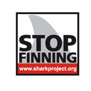 stop finning sharks