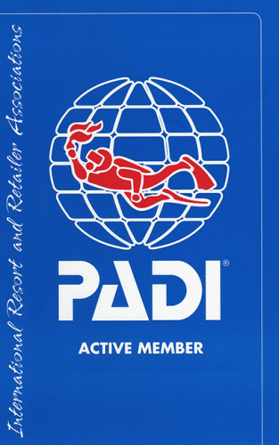 padi cebu philippines logo