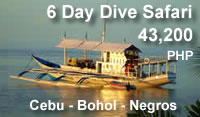 dive safaris cebu bohol negros philippines