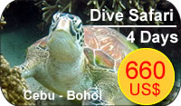 philippines: on dive safari