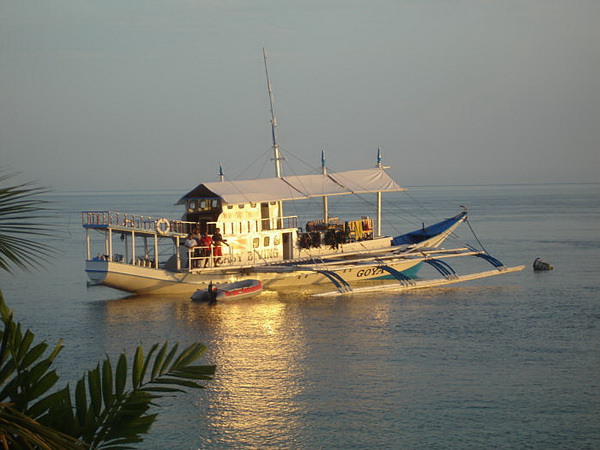 on dive safari in the philippines